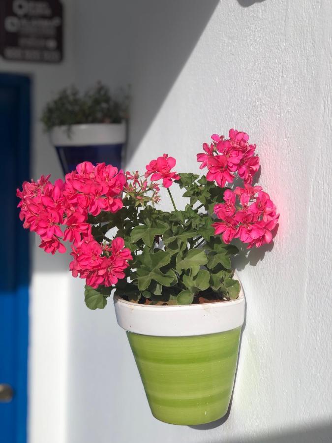 Isleta 5 Appartement La Isleta del Moro Buitenkant foto